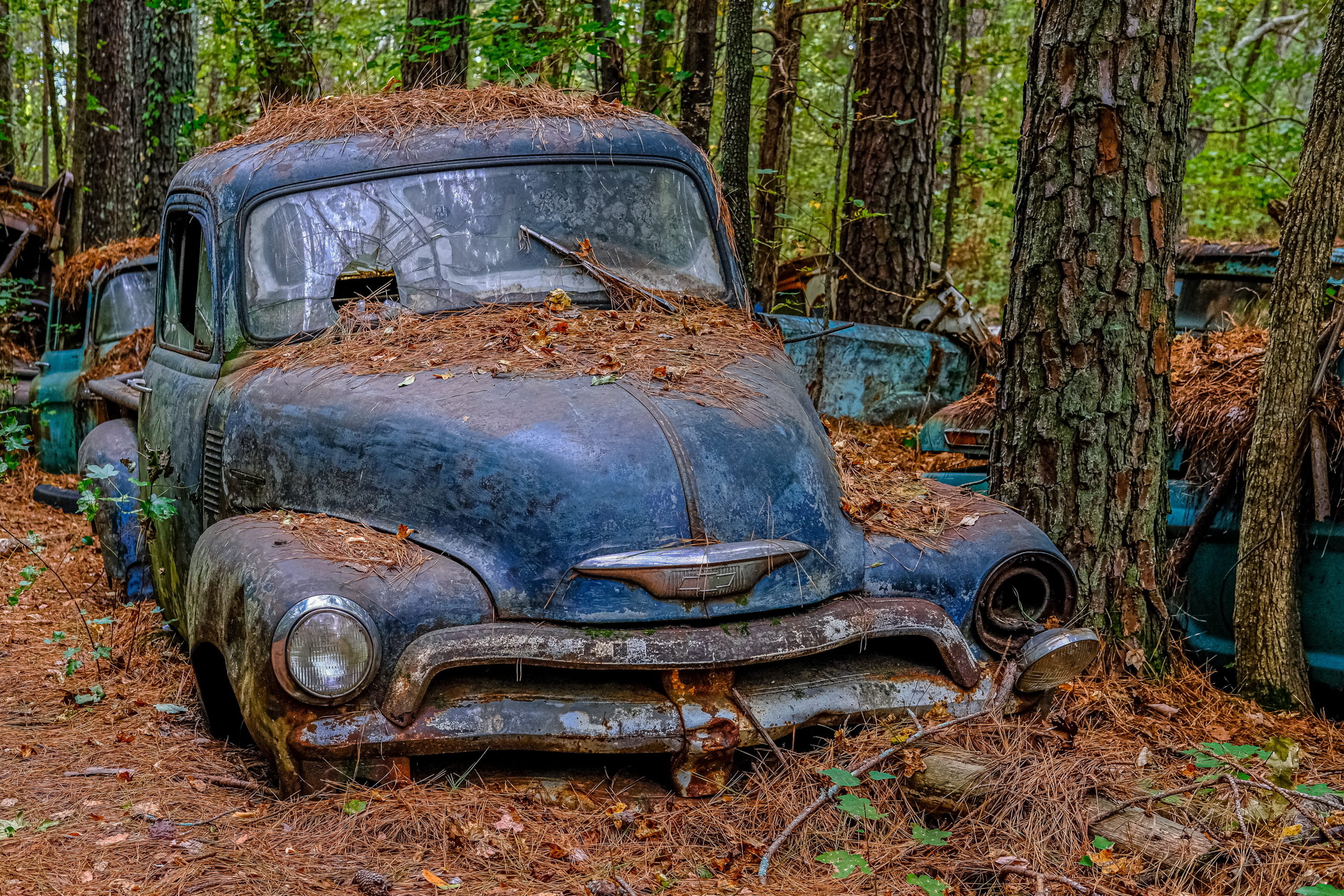 Cash-For-Junk-Cars-Wilmington-NC-scaled