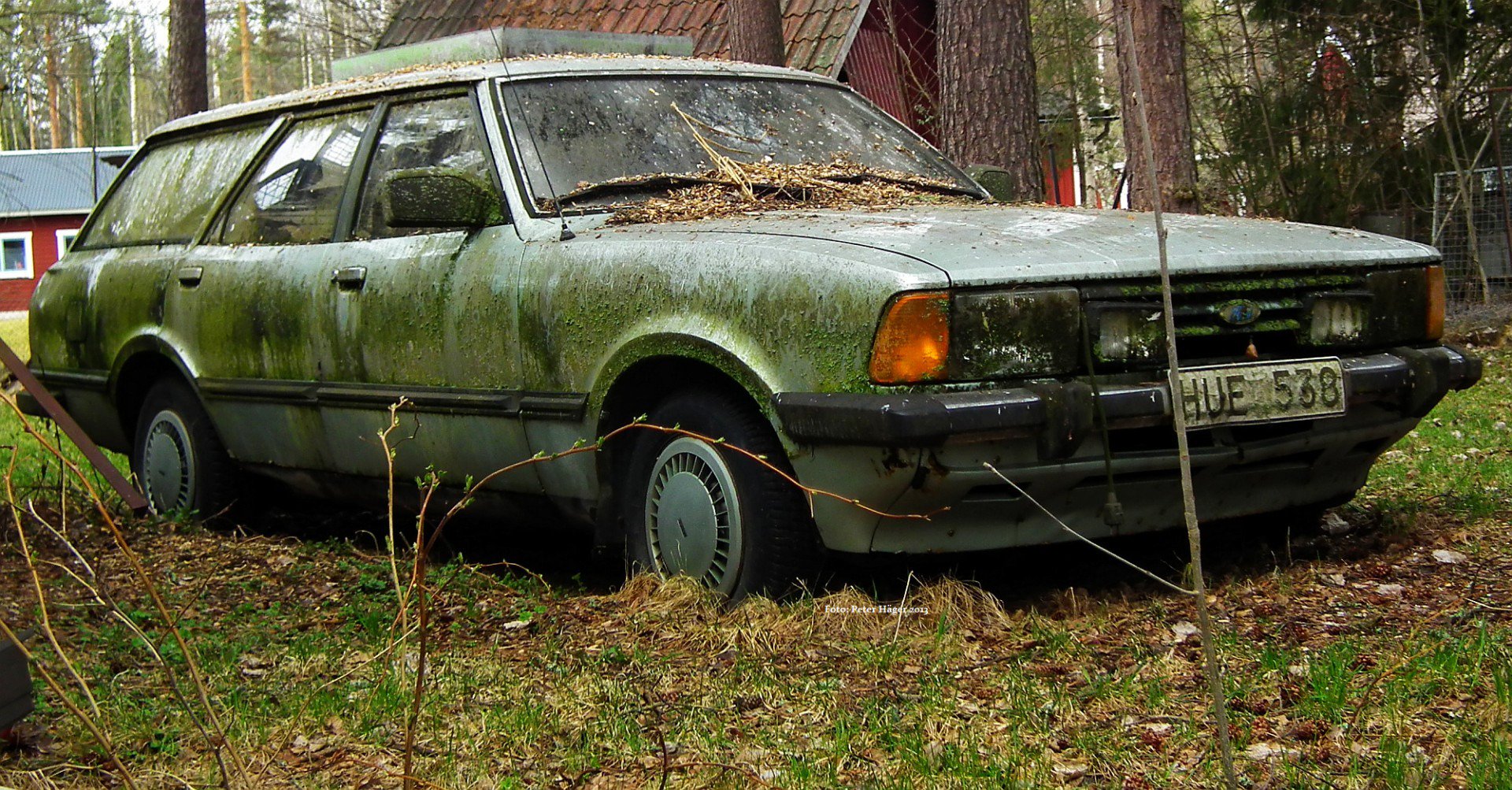 How Junk Car Removal Can Help The Environment