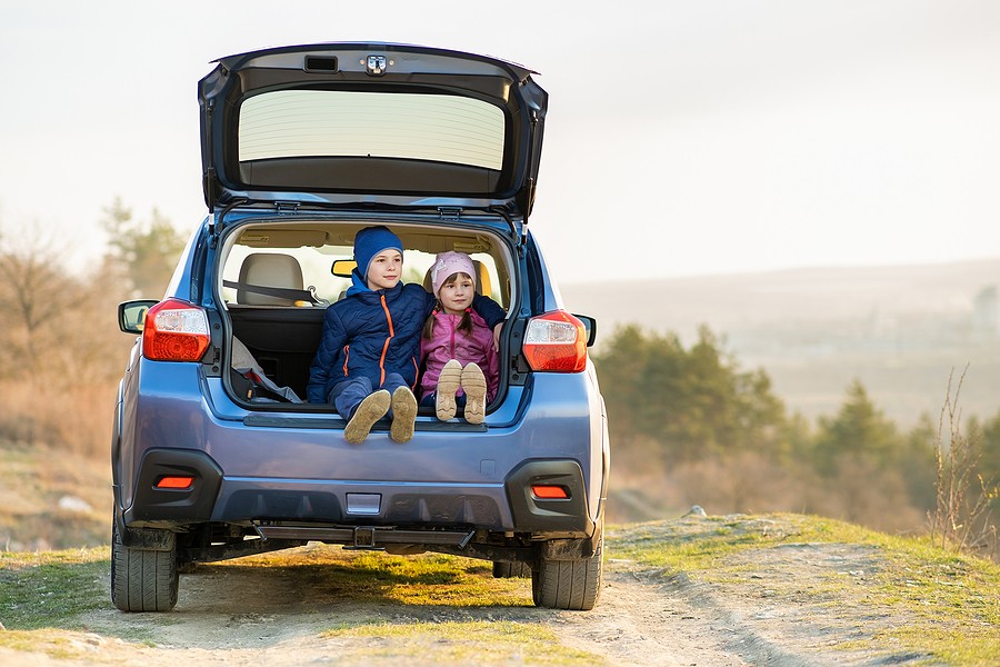 What are the Best Great Small Family Vehicles  