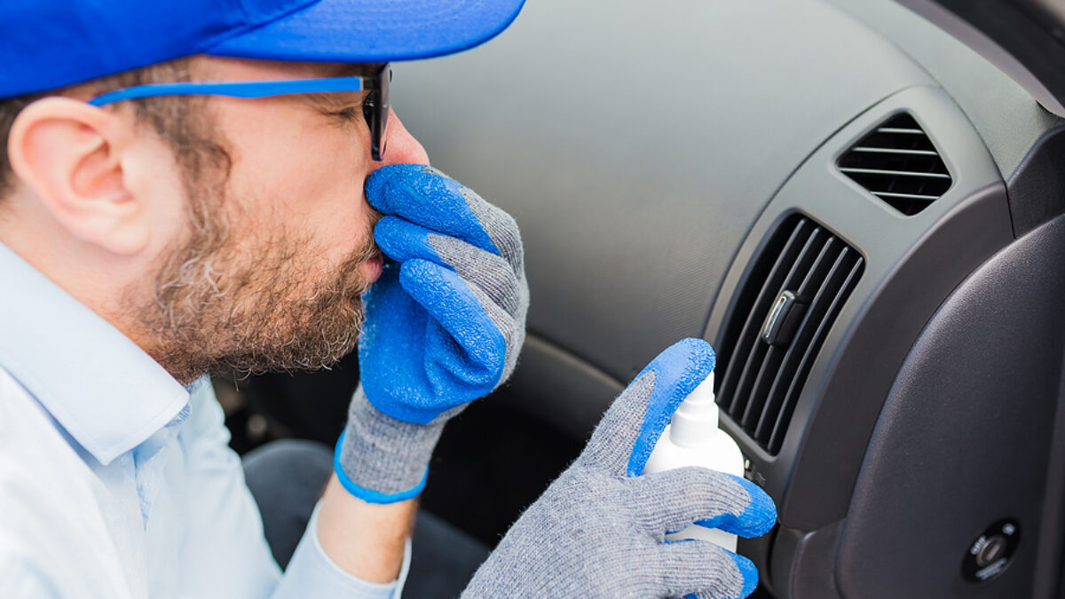 How to get smoke smell out of car permanently Idea | agrogalsl