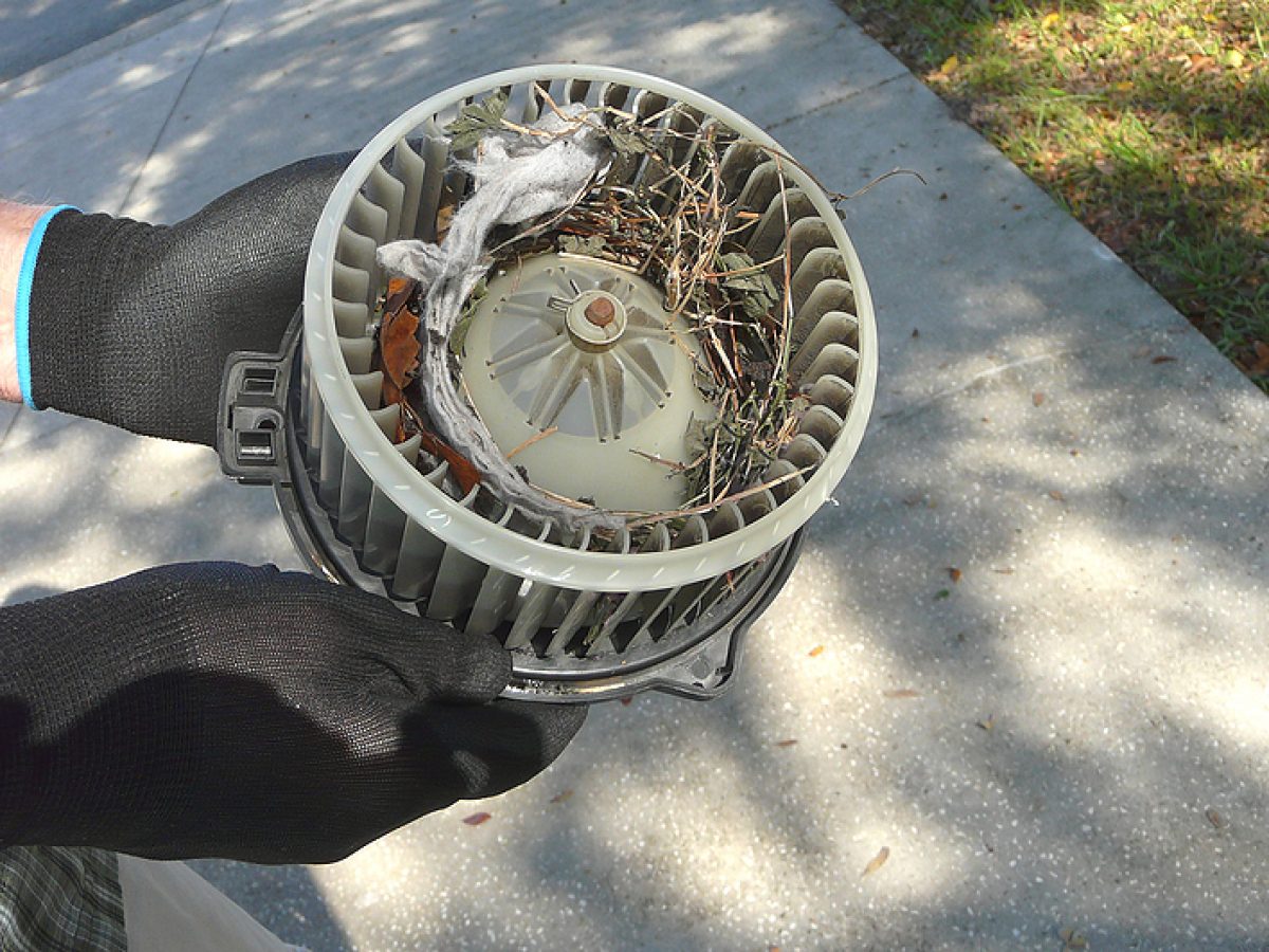 Nissan Rogue Blower Motor Replacement Cost