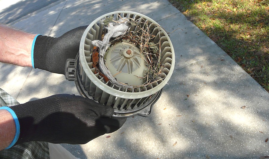 Blower Motor replacement cost