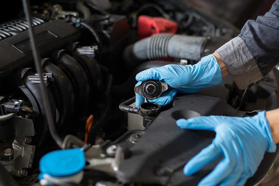 How Often To Change Radiator Fluid