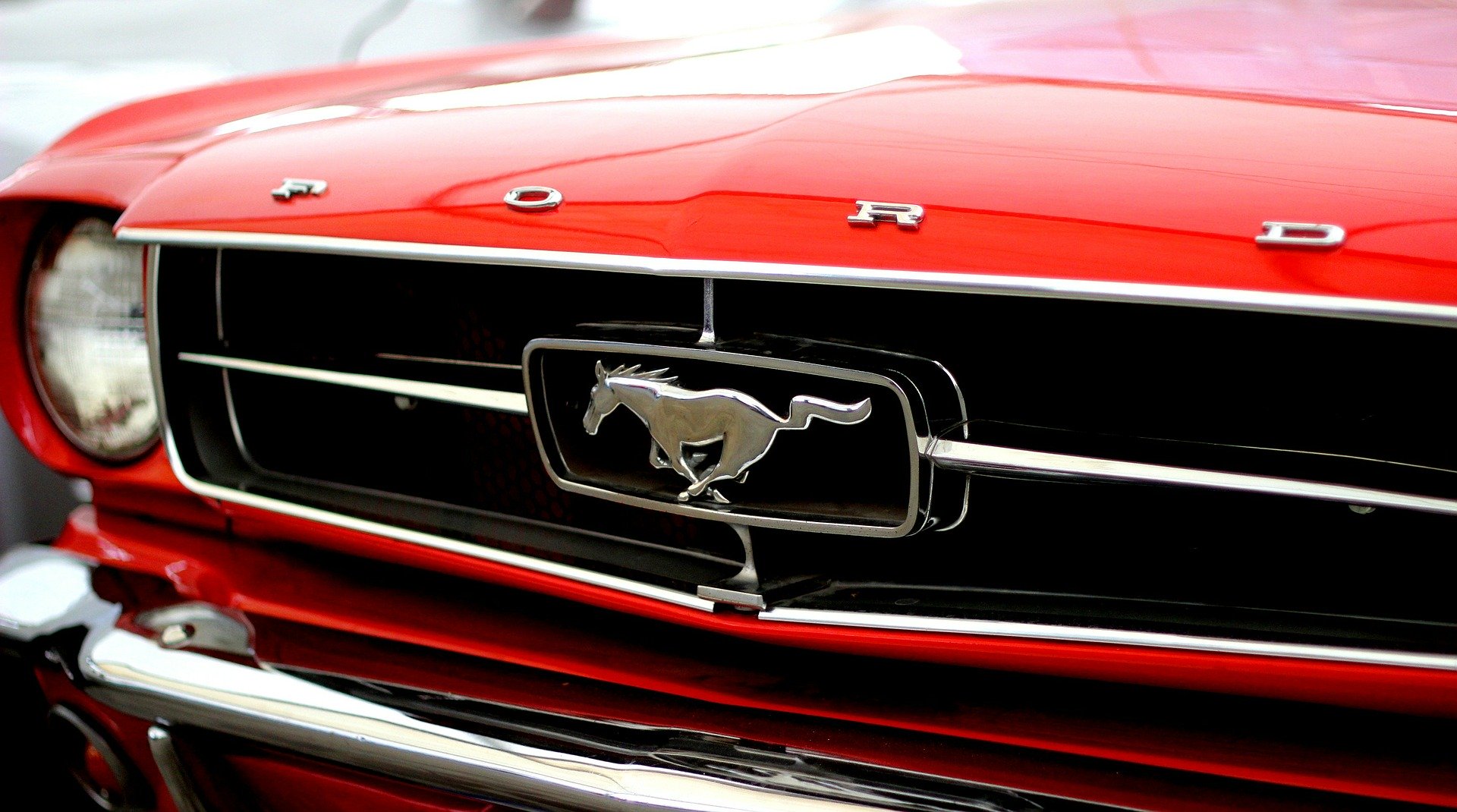 Mustang Head Gasket Repair Cost 