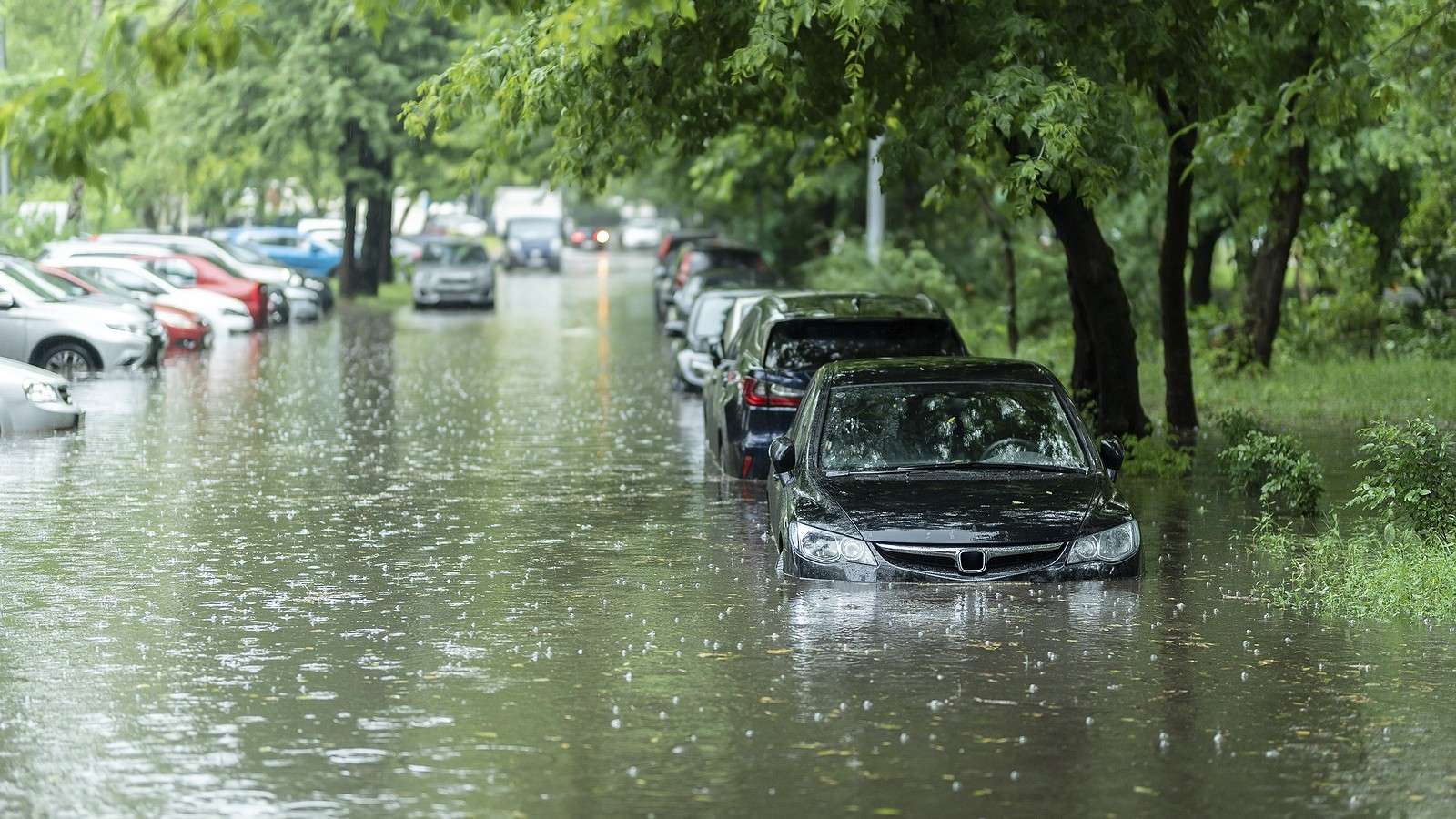 Flood-Damaged Cars