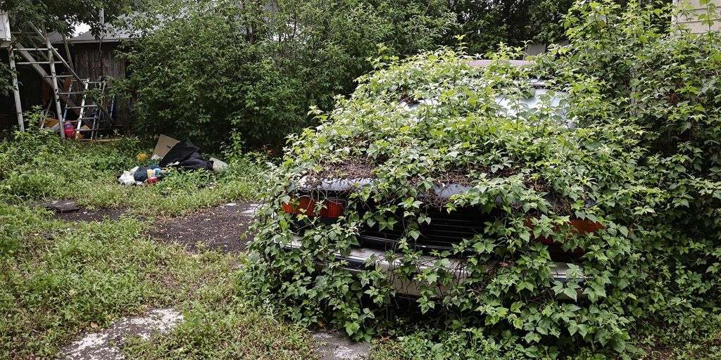 Junking Abandoned Cars: Legal Insights
